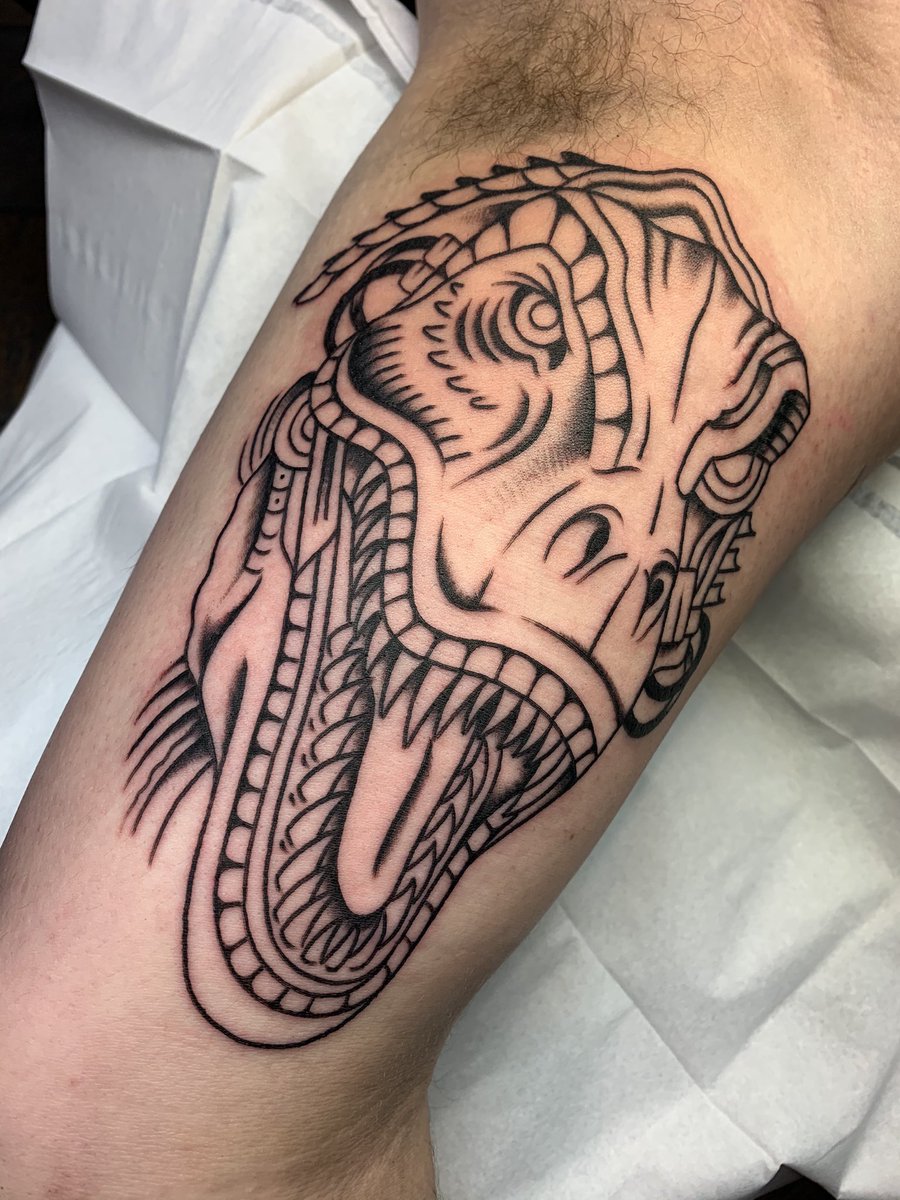 Robo T Rex started today