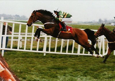 AnaglogsDaughtr's tweet photo. Awesome horse
Istabraq taking off at the second last in the 2.00 o'clock race @punchestownrace  and lands in front of the leaders in the 1.30 race😎 https://t.co/sElTYSgk6B