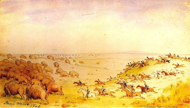Assiniboia, created in 1811, sat on vast prairie land south of Lake Winnipeg. Massive bison herds had not yet been destroyed. Metis and Indigenous people who lived there dried bison meat into pemmican and traded it and other goods with HBC and NWC fur traders travelling the area.