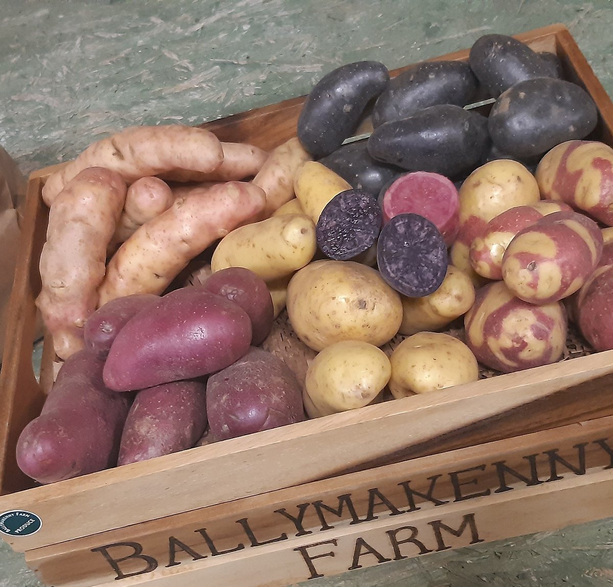 Ballymakenny Farm® tweet media