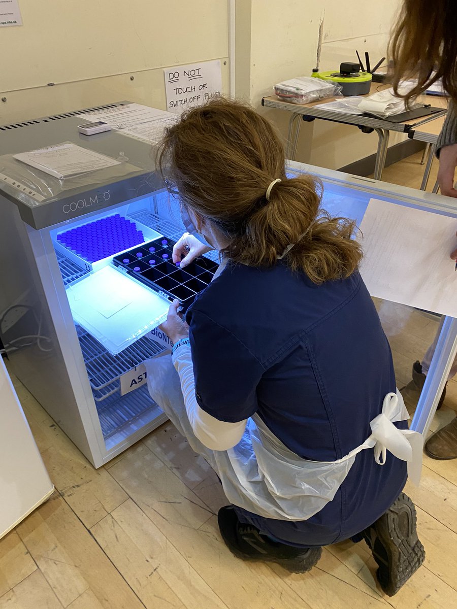 Mark Mikhail tweet media