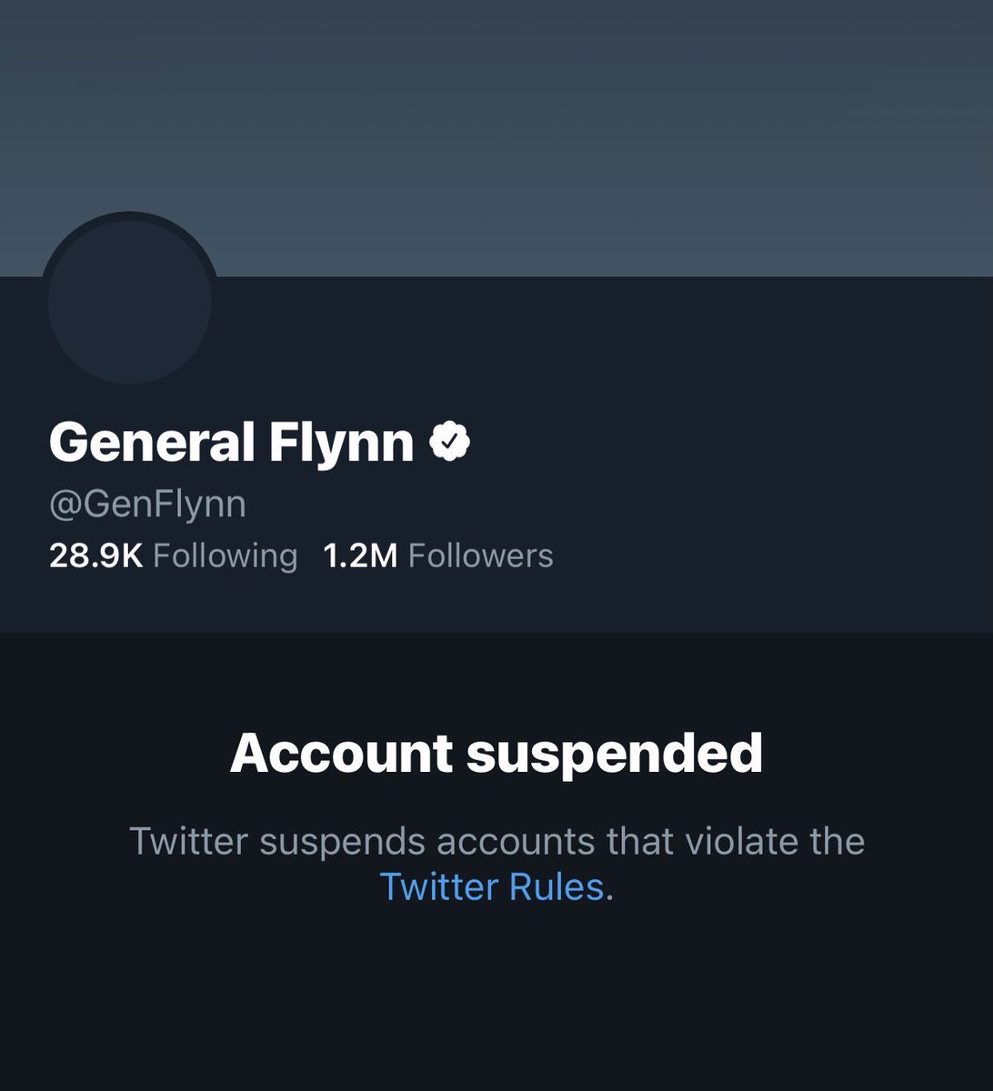 NotHoodlum's tweet photo. Twitter just permanently suspended Traitors, Mike Flynn’s and Sidney ‘The Kracken’ Powell accounts. https://t.co/ElElSMOjHd