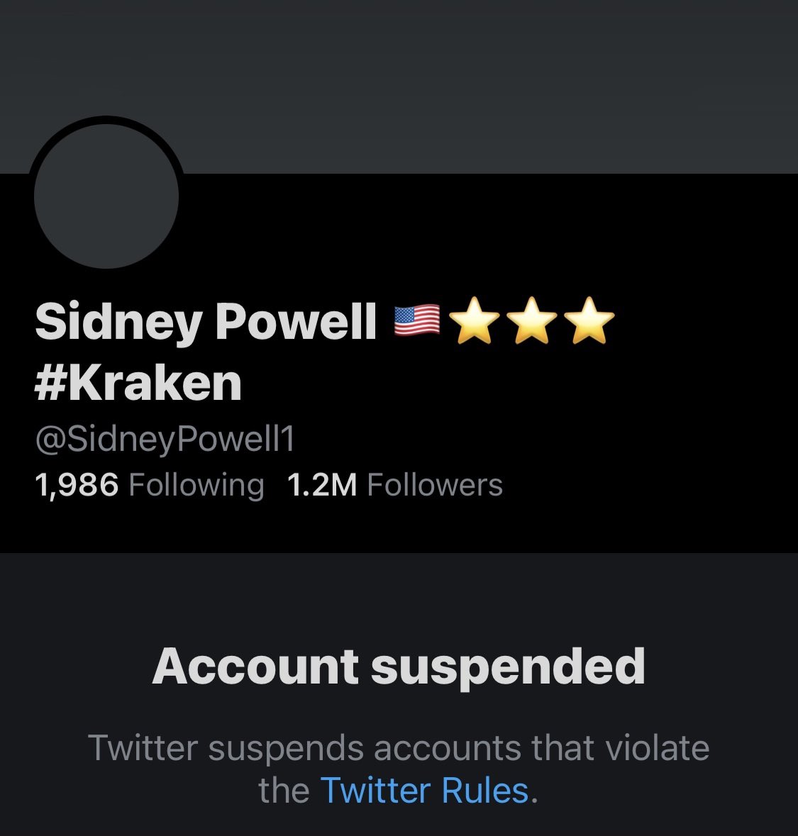 NotHoodlum's tweet photo. Twitter just permanently suspended Traitors, Mike Flynn’s and Sidney ‘The Kracken’ Powell accounts. https://t.co/ElElSMOjHd