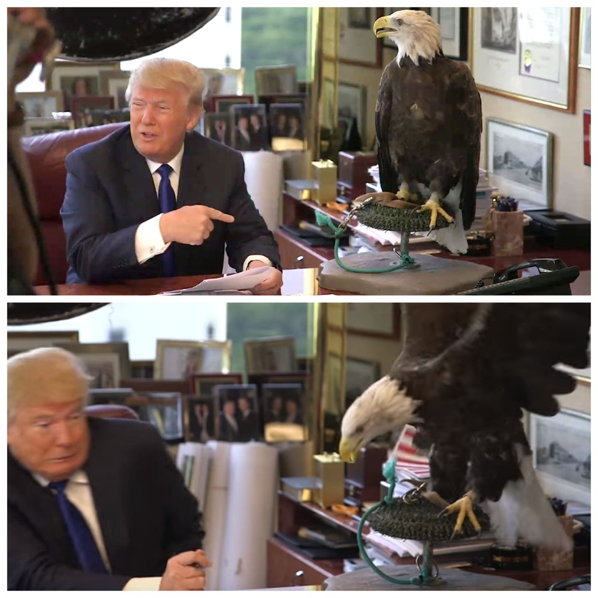 Trump has started tweeting via carrier-eagle. It's not going well.