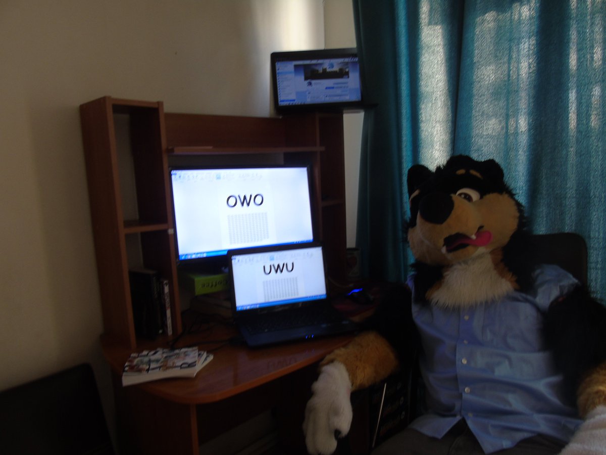 Bobbyteam_Chile's tweet photo. 💦🐶| ¡Parece que Bobby esta muy agotado de tanto trabajar!

🐾🐶|¡Les deseamos un excelente fin de semana y un feliz #FursuitFriday!

🐶👉| ¡Esten muy atentos durante este fin de semana, les tenemos muchísimas sorpresas preparadas!

#FurryFandom #Furry #FurrySummer #BobbyTeam https://t.co/ldUJrJ8n4A