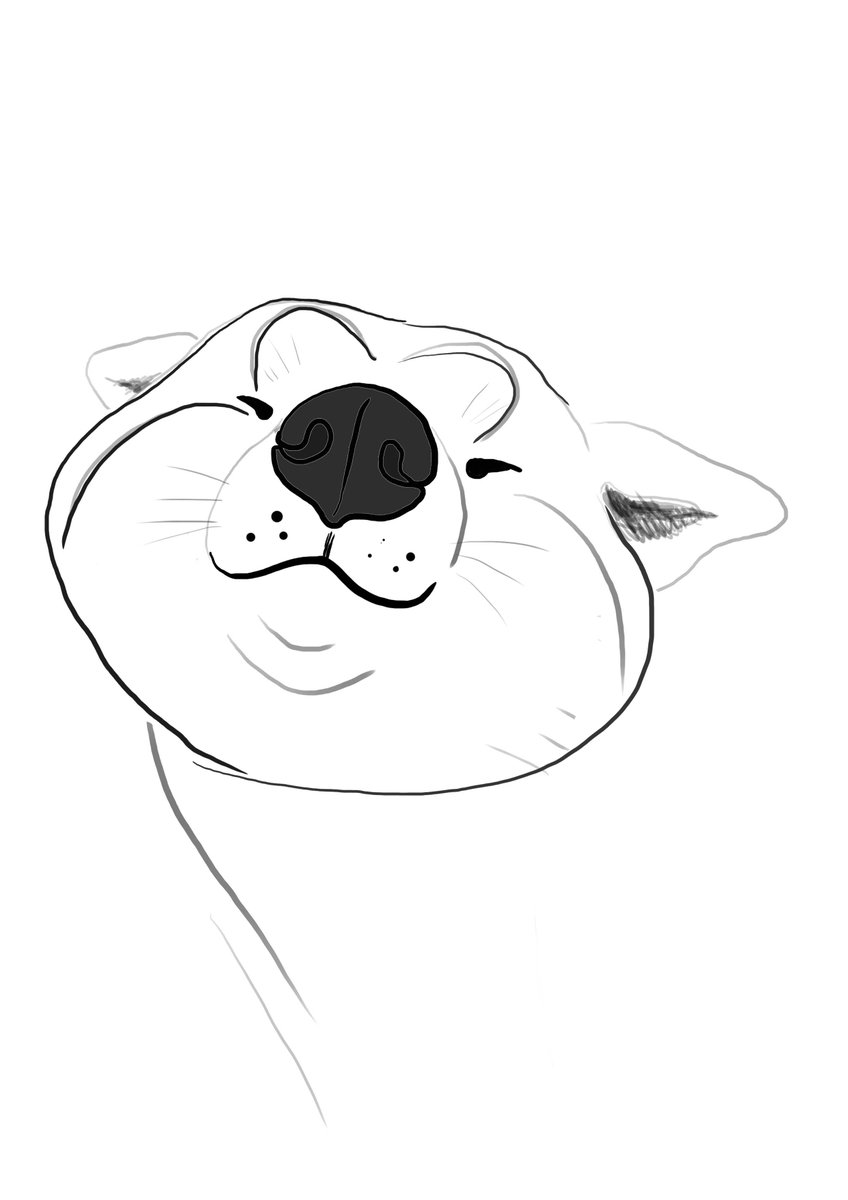 jecastr1's tweet photo. Smiling Akita close up, line drawing, line art by ArtByYeS https://t.co/AsJ12SoJA1 via @Etsy https://t.co/rzRSaZoFNs