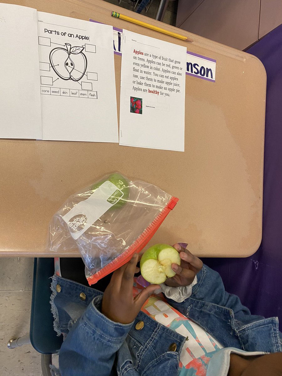 EvaPCFISD's tweet photo. Today we had fun identifying elements of informational textbooks! My scholars were able to identify— Headings, diagrams, labels, captions, and other important elements! Painting was added to enrich the lesson😄 #TeamHISD #KGES #FIRSTGrade @marques_collins @KGESFineArts https://t.co/laZvIDg7yg