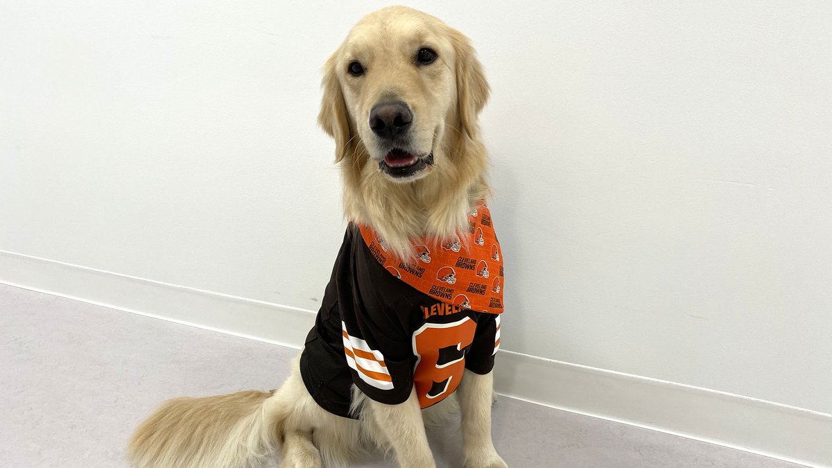 ClevelandClinic's tweet photo. There's always THIS year! Our caregivers are game day ready to watch @Browns take on the Steelers! #WeWantMore https://t.co/o7i3hU9wSk