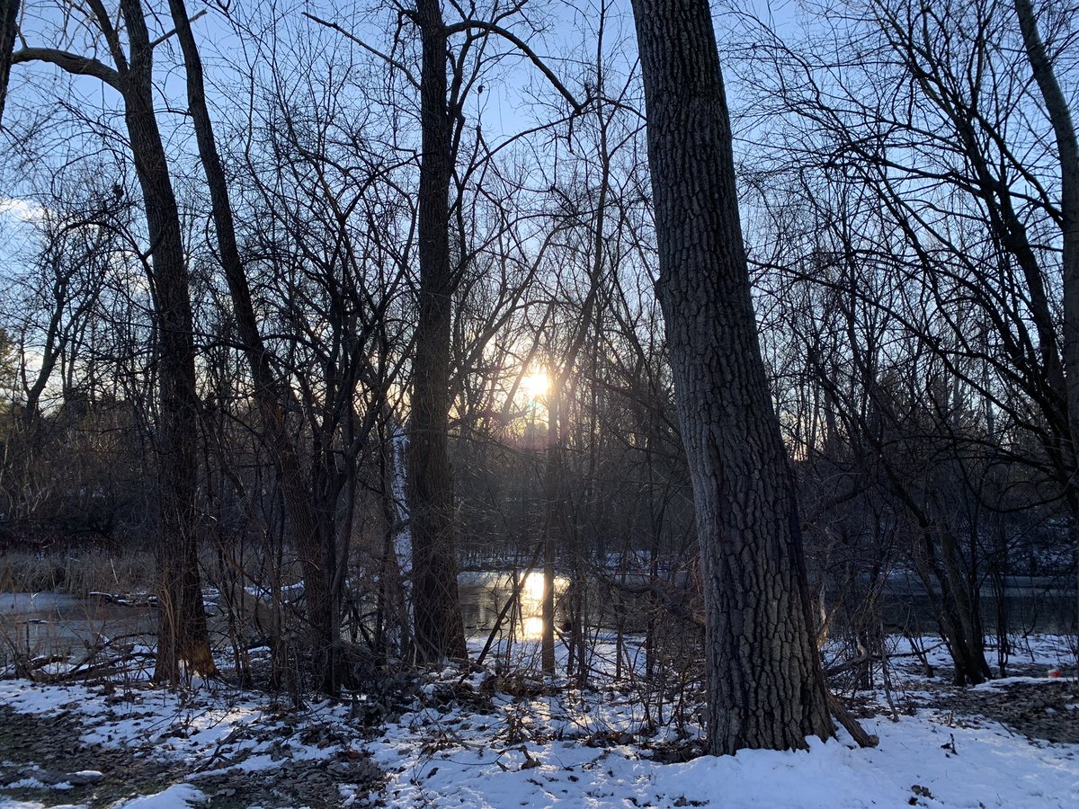 BuckinghamPond's tweet photo. Frozen Friday sunset. https://t.co/fvau2JYBet