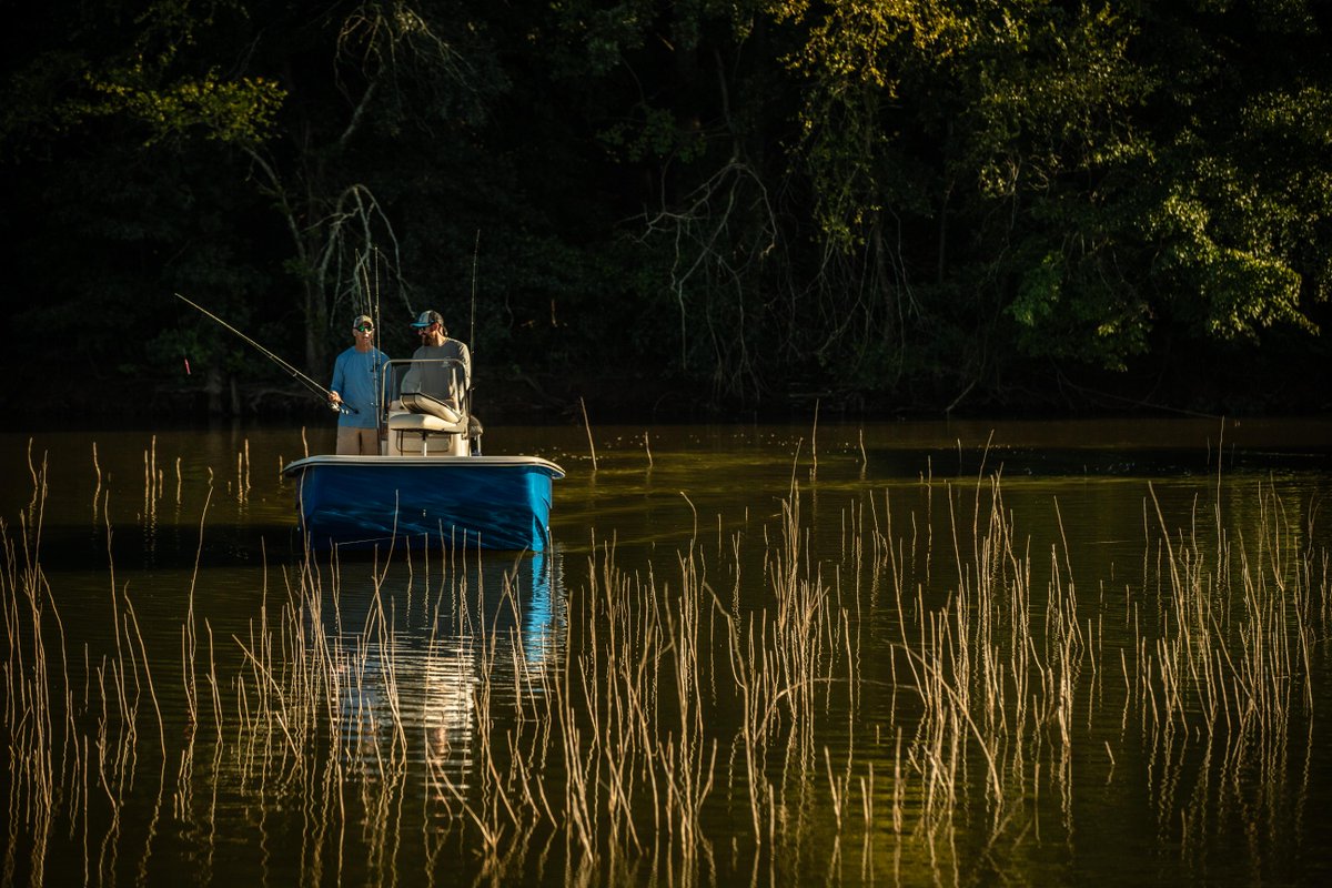 carolina_skiff's tweet photo. Where the lands end, the Carolina Skiff adventure begins. Boat: 21 SWS #JoinTheLifestyle

#carolinaskiff #21SWS https://t.co/xrItmanAZw