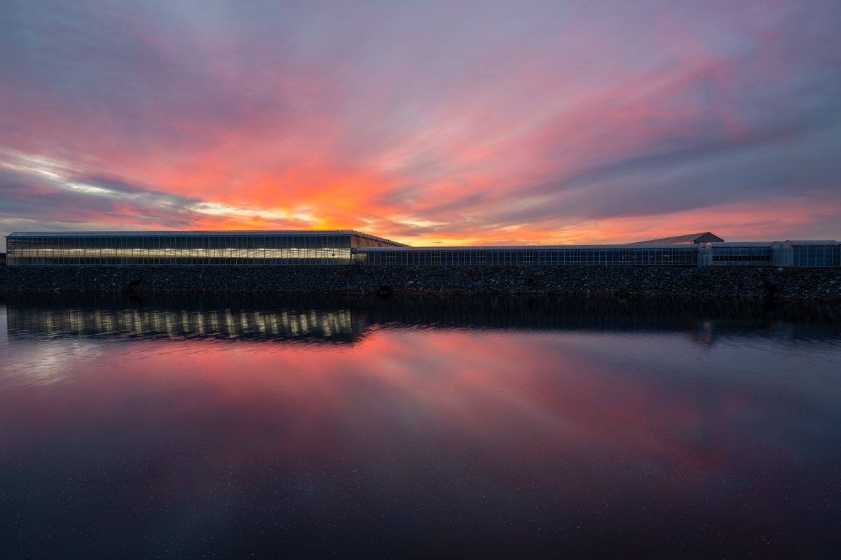 MetrolinaGHS's tweet photo. Sharing this beautiful sunset we had at the greenhouse this week. We are wishing everyone a great weekend! #metrolinagreenhouses #aroundthegreenhouse #sunset https://t.co/jfQ3ABsJxf