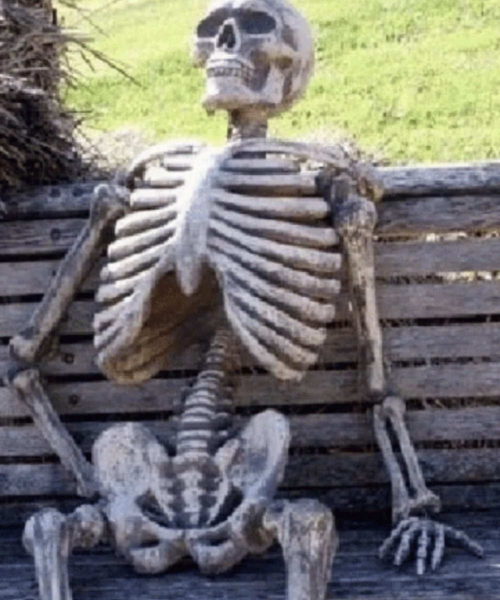 GirlAbroad1's tweet photo. Hanging out waiting for a package while @fedex &amp; @USPS play hot potato as to who has it &amp; who will track it #deliveryfail pls contact @amazon bc you know they would have found it https://t.co/EIdn9iV7nv