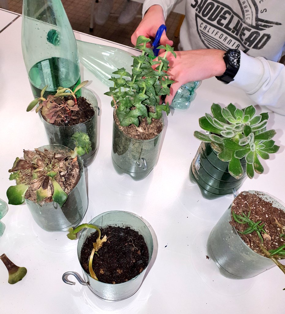 SVTBeaumanoir's tweet photo. Au #clubnature on prépare nos #plantes pour accrocher au grillage pour égayer le mur près du CDI. Et on réalise de l'huile de massage avec notre lavande séchée 😉 https://t.co/Q7Go8RYaHy