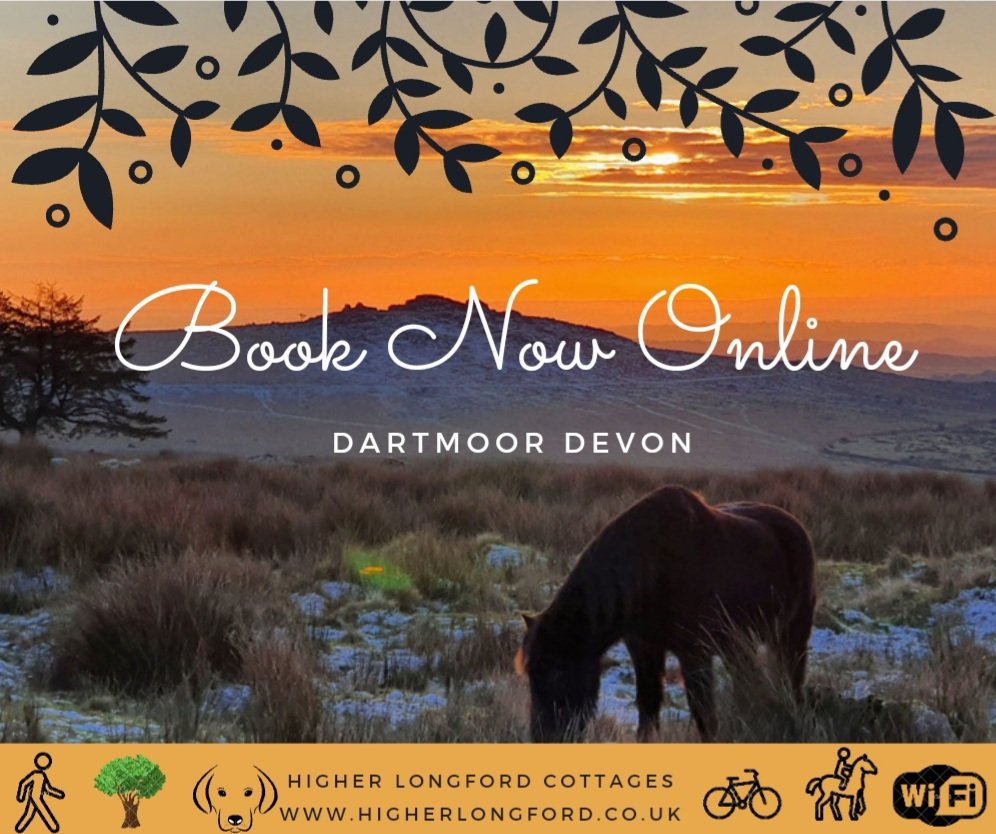 higherlongford's tweet photo. Taking bookings for 2021. Full refund on covid cancellations.  #Devon #dartmoor #staycation #dogfriendly #visitdartmoor #visitdevon #BookDirect https://t.co/eUVxRNdPdV