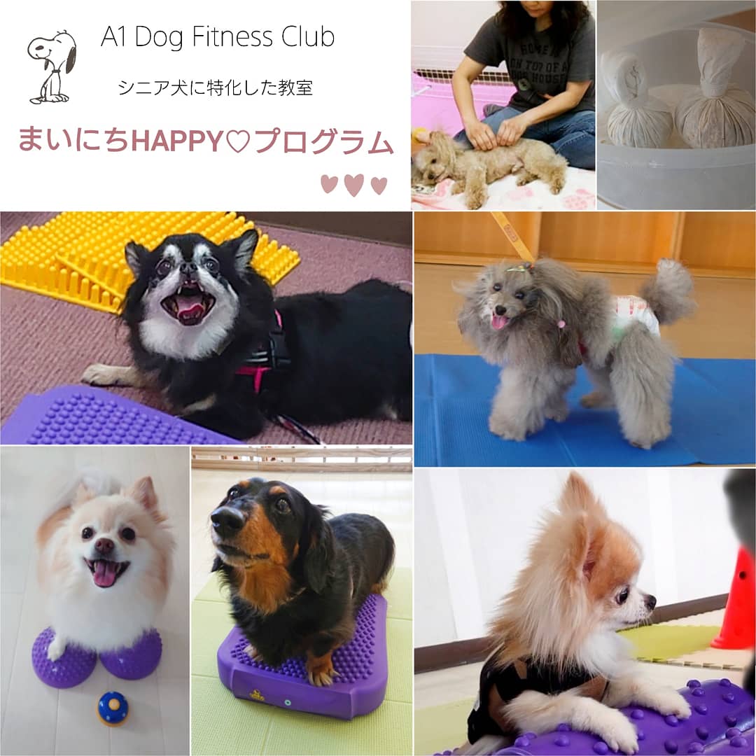 ハーブボール Twitter Search