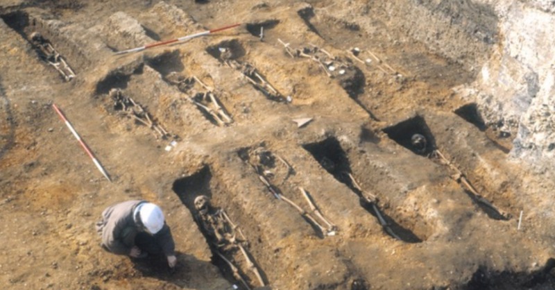 McMasterU's tweet photo. One contagion, two plagues, 300 years apart. Studying the spread of historic plagues can help us understand COVID-19. 

#BrighterWorld | @McMasterScience