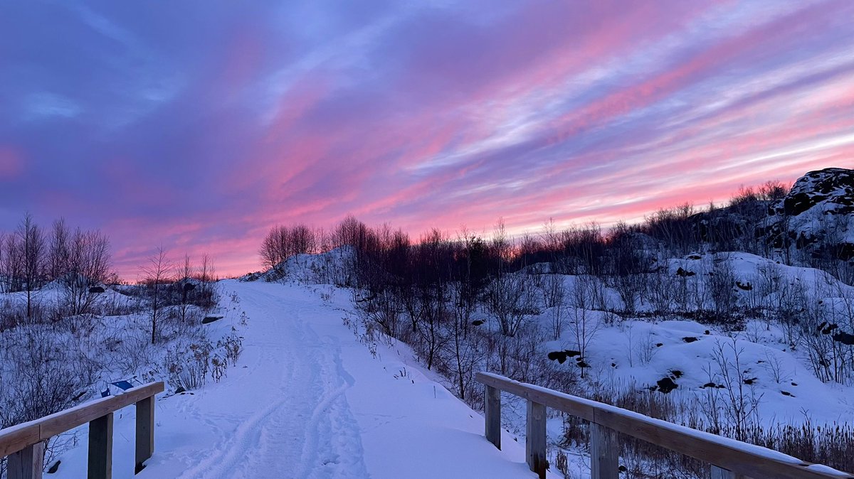 HeyItsMeMissJT's tweet photo. Love my hikes home from work. Serene. #ChasingSunsets #CottonCandySkies #TrailTime #CardioWithAView #HappyHiker #WinterGirl #OutdoorFitness #FridayMood βοΈπππ§‘πβοΈ https://t.co/9KKN8KQQ8k