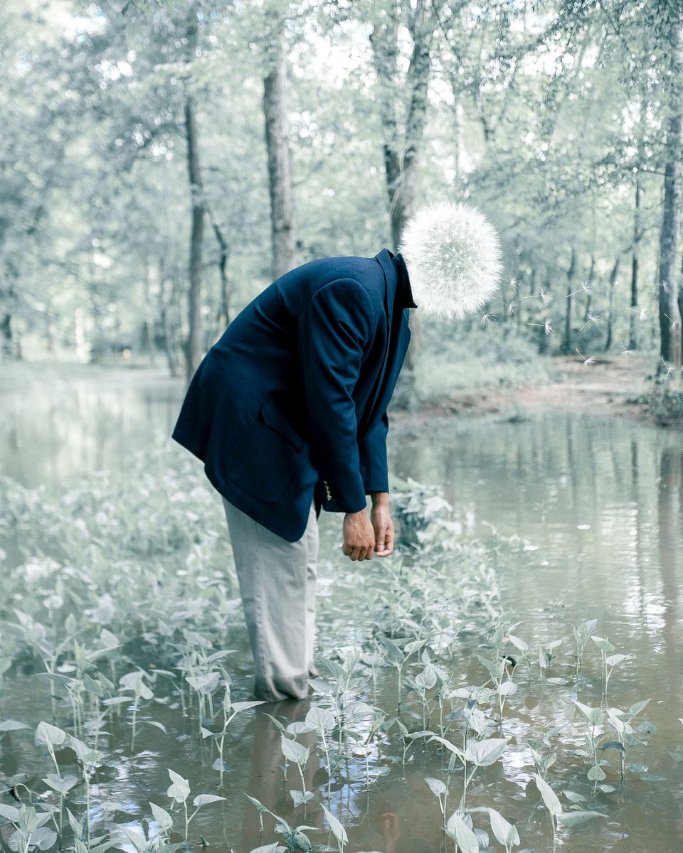 shay 𓂀 tweet media