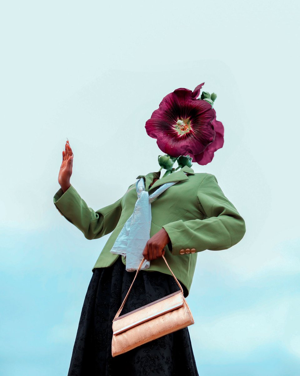 shay 𓂀 tweet media