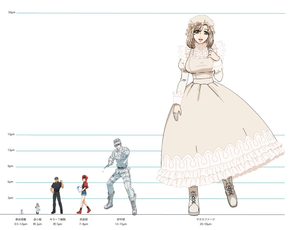 DoodleBin's tweet photo. Found out on Reddit how big these cells would be and made a little adjusted character line up #CellsAtWork https://t.co/0UKwbRZab1