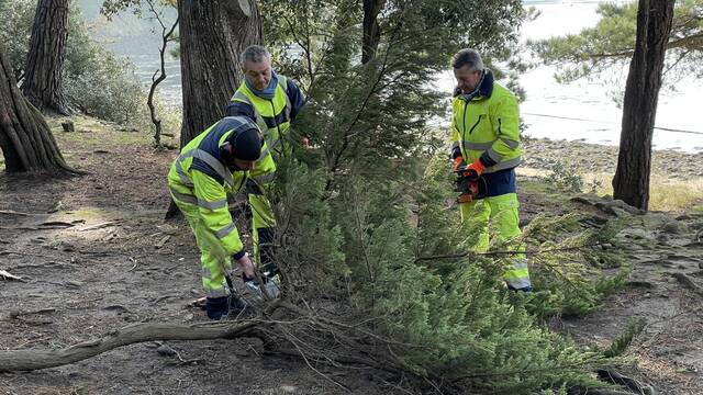 ChaBahuon's tweet image. Larmor-Baden. Le sentier côtier à Berder rouvre enfin #Vannes #Larmor-Baden #Aménagement du territoire @OuestFrance ouest-france.fr/bretagne/vanne…