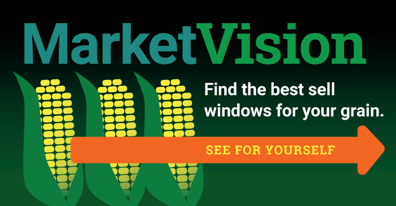 MainStreetData's tweet photo. Increase your #corn revenue by $50/acre. 

Leverage a historic grain market with our powerful grain marketing platform. 

Learn more today!