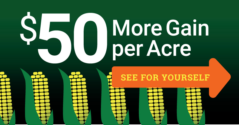 MainStreetData's tweet photo. Get a $50/acre gain with MarketVision 

Grain prices have been on a historic run, and now’s the time for better grain marketing decisions. 

Try it today!