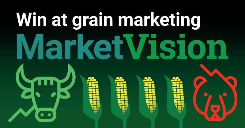 MainStreetData's tweet photo. Grain prices are high, are you ready to win at grain marketing? 

Increase your #corn revenue by $50/acre, with MarketVision. For the last 7 years, our tests show an average gain of .25 cents per bushel over calculated USDA county prices. 

Get started today!
