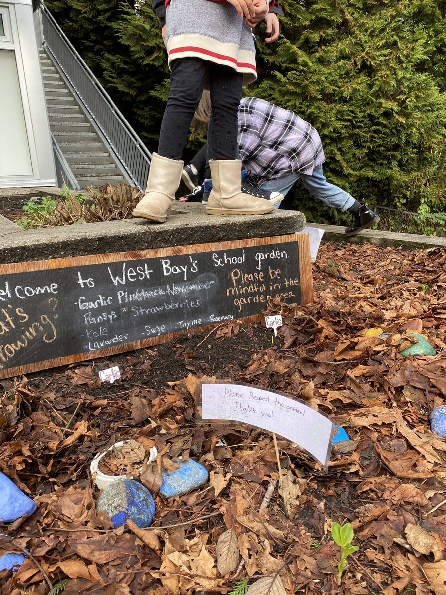 Amy Flett tweet media