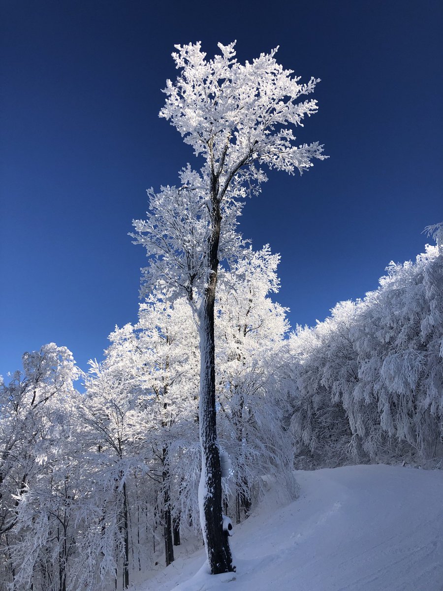 FreshiesDeluxe's tweet photo. Such a beautiful day today ⁦@SkiMagicVT⁩ !! https://t.co/PLLFS0Km00