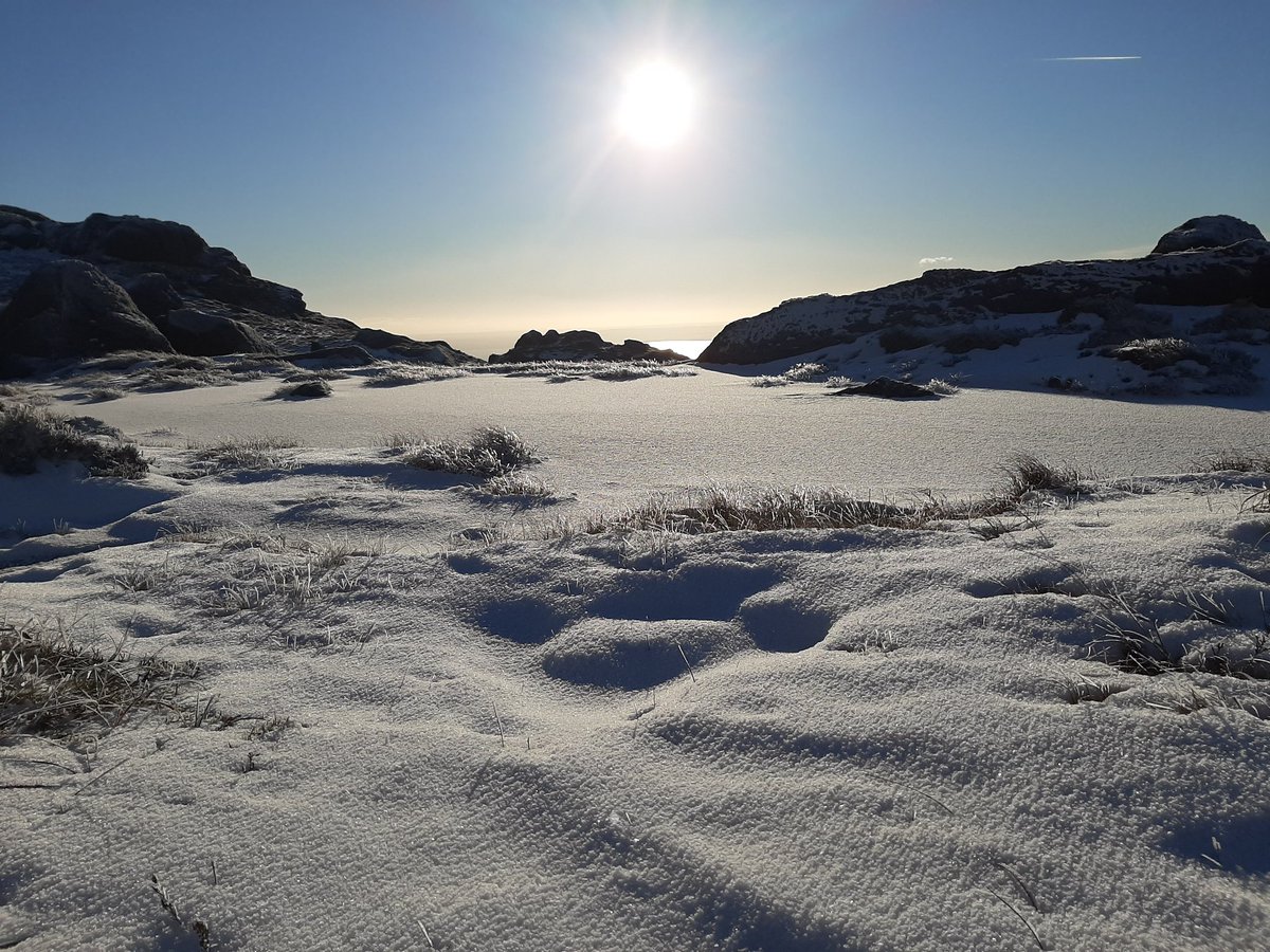 Another gorgeous day in the Cooleys 😍
#hiking #cooleymountains #louth
@visitcarlingford <a href="/CarlingfordIRE/">Carlingford Lough</a> <a href="/IAAT_ie/">Ireland's Association for Adventure Tourism</a> <a href="/GoToIrelandCA/">Tourism Ireland</a> <a href="/girloutdoormag/">Girl Outdoor Mag</a>