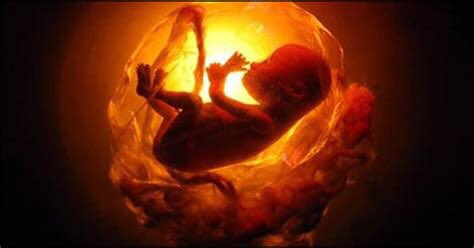 jan_tru's tweet photo. At the end of the day; after the politicians shouted their thoughts &amp; spilled their spiel — there was only ONE, truly CONSEQUENTIAL result of this sick election. 

And that result is the loss of these precious LIVES!

Our HUMANITY depended upon it. #ProtectTheUnborn #Heartbroken https://t.co/F4cE3wM4IA