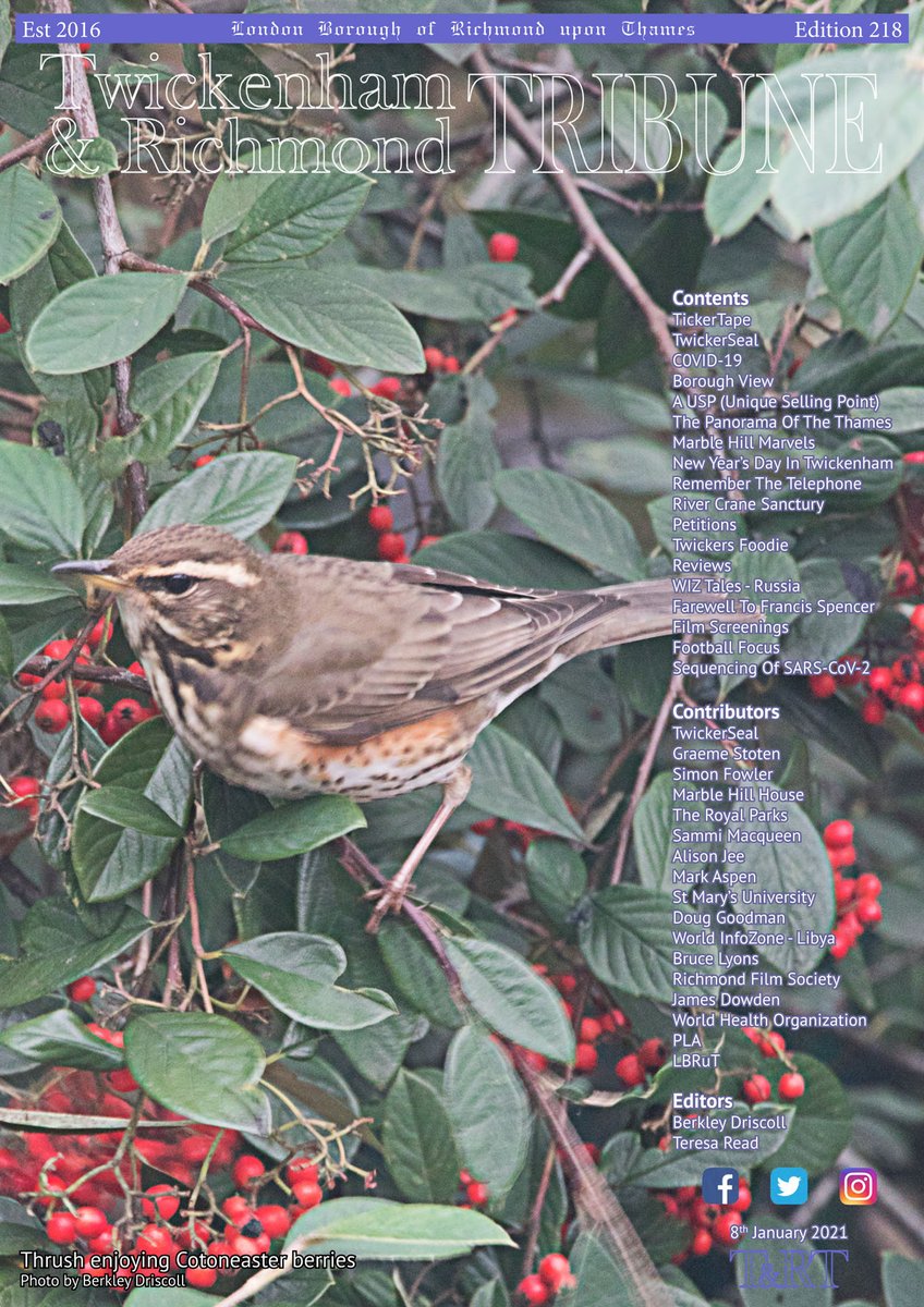Our latest edition (218) is now available to view or download online
twickenhamtribune.com