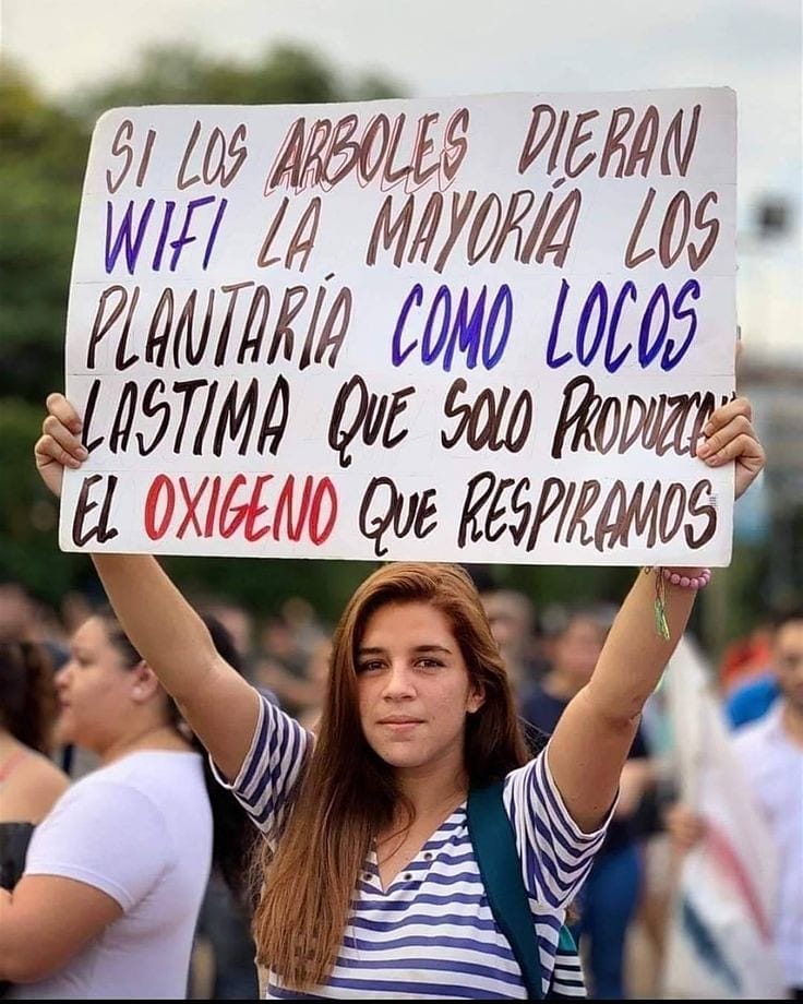 SArgallagher's tweet photo. Translation: If the trees gave wifi, most of them would plant them like crazy, it hurts that they only produce the oxygen we breathe 
“TrUe” (╥﹏╥) #savetheworld #savethetrees https://t.co/Qcu3ekwi4J