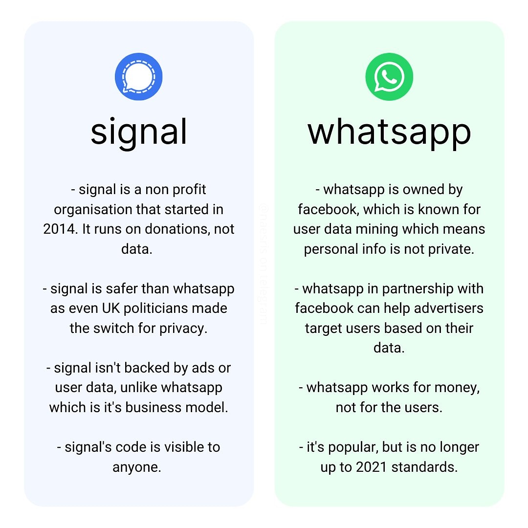 Comparison on signal vs whatsapp.