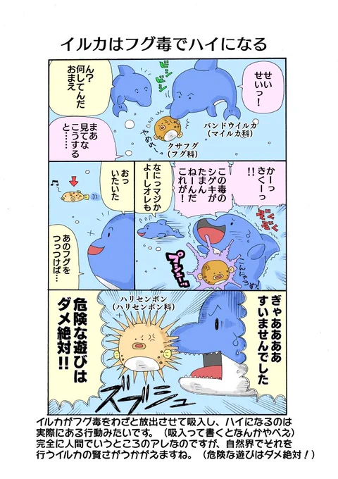 海の生き物漫画「イルカはフグ毒でハイになる」をKindleで読めるようにしました 