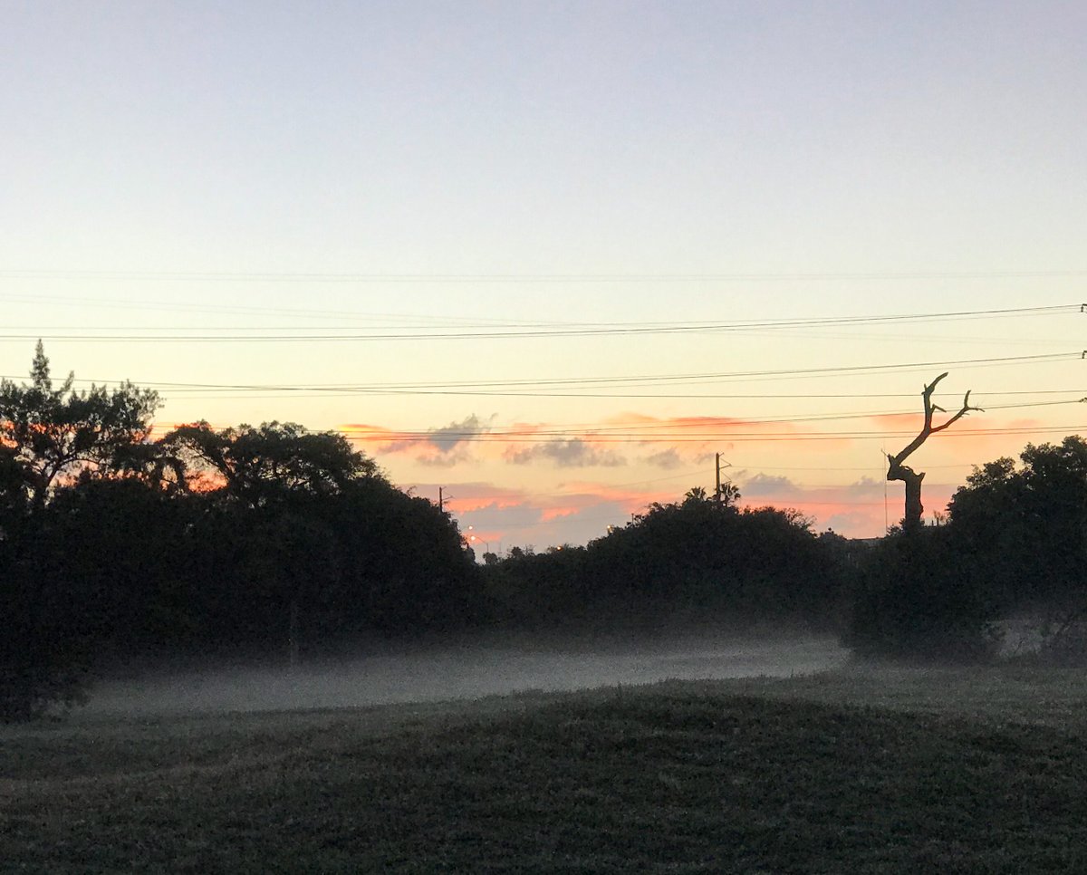 A Deer in the Woods
Project 365 - Day 8

Follow along with me as I take this year-long journey back into photography.

project365-jody.blogspot.com/2021/01/projec…