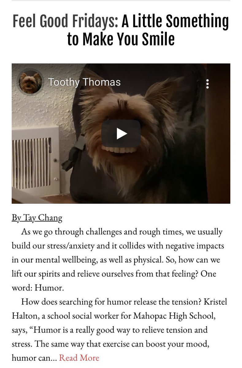 MHS Chieftain tweet media