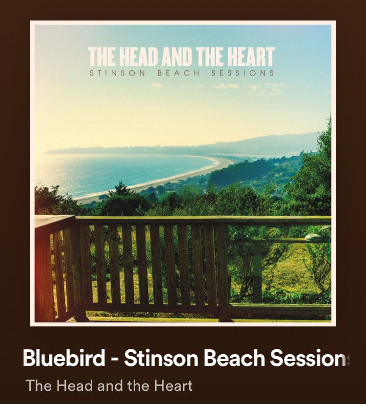 the head and the heart • kya ~bluebird + coeur d’alene