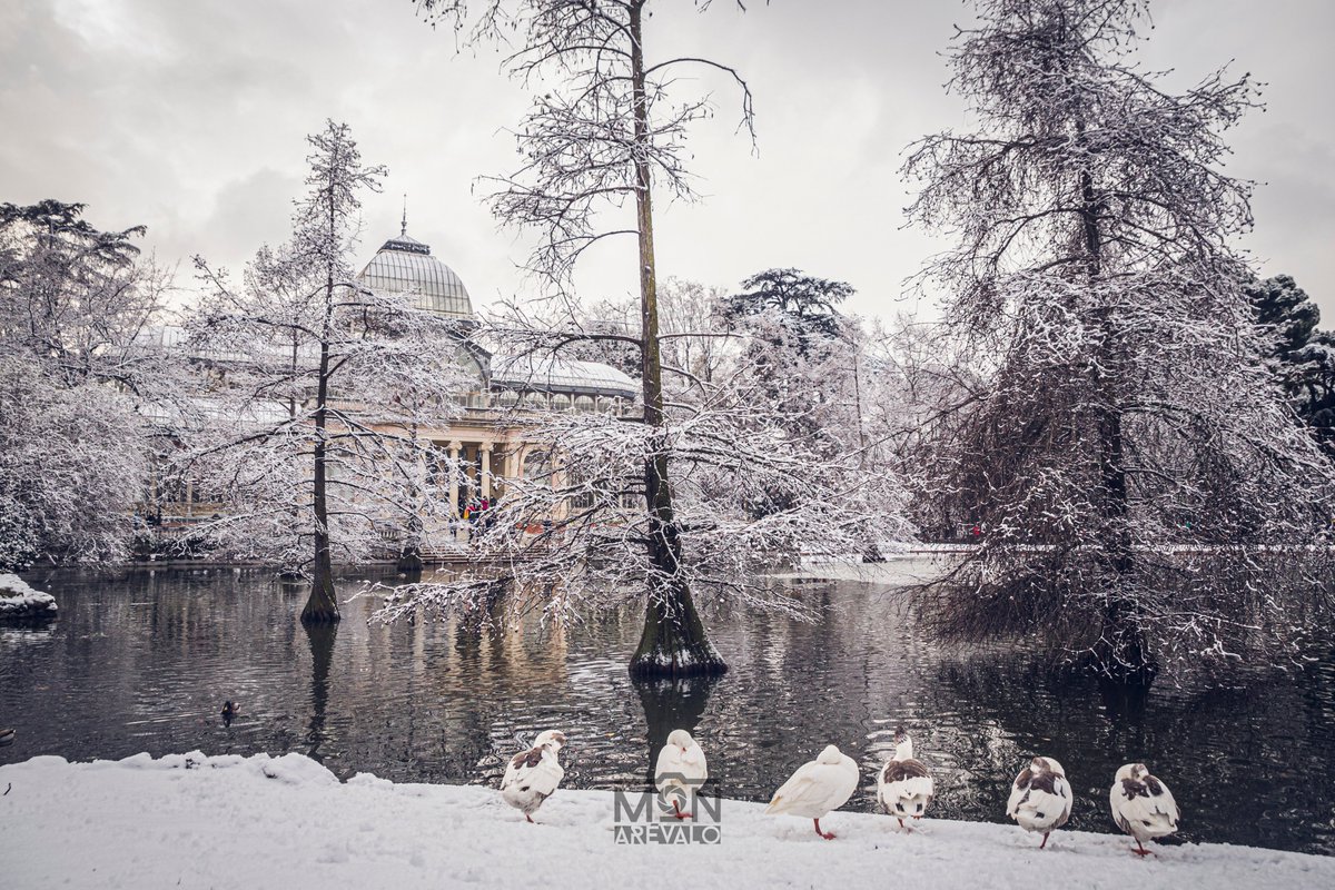 clep00's tweet photo. Alcorcón 
@MADRID #RetiroNevado #Retiro  #madrid #madridnieve https://t.co/6Zyh6lOrBT