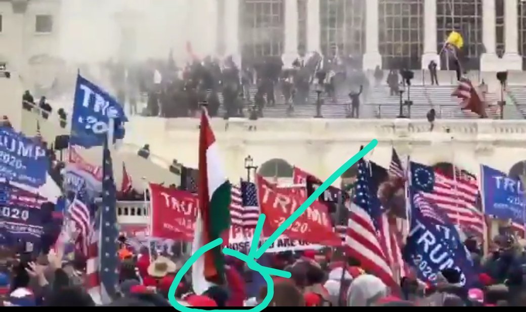 It was him with the red jacket waving the flag infront of the Capitol hill building while the riots were on. You can seen him the holding the flag all along. Vincent only hold the flag once.