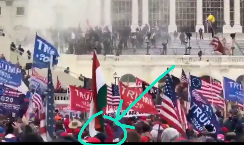 It was him with the red jacket waving the flag infront of the Capitol hill building while the riots were on. You can seen him the holding the flag all along. Vincent only hold the flag once.