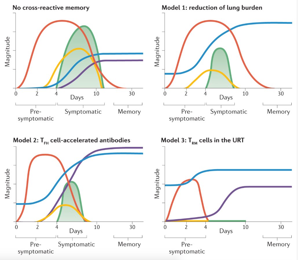 mmw_lmw's tweet photo. Cross-reactive #Memory_T_cells and #Herd_Immunity to #SARSCoV2 | models of the three major scenarios | Shane Crotty @ljiresearch @NatRevImmunol https://t.co/EBPMXlNmWF | #2020_ReCapOct https://t.co/qt8TrdEmYT