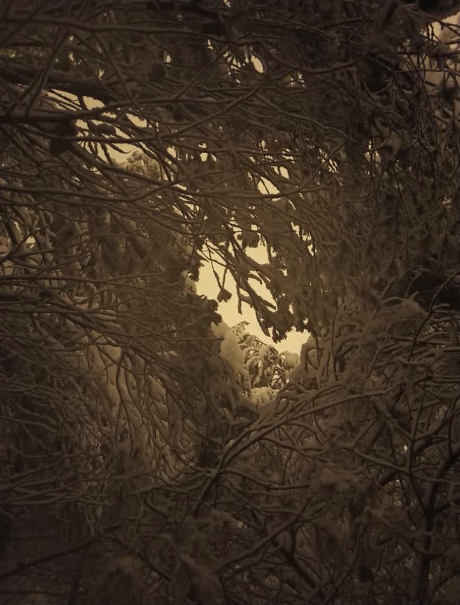 chrlsibarra's tweet photo. Coslada - Madrid

Por la noche

8.01.2021 V

#Filomena #nievemadrid #nieve https://t.co/h9SAhFfUnH