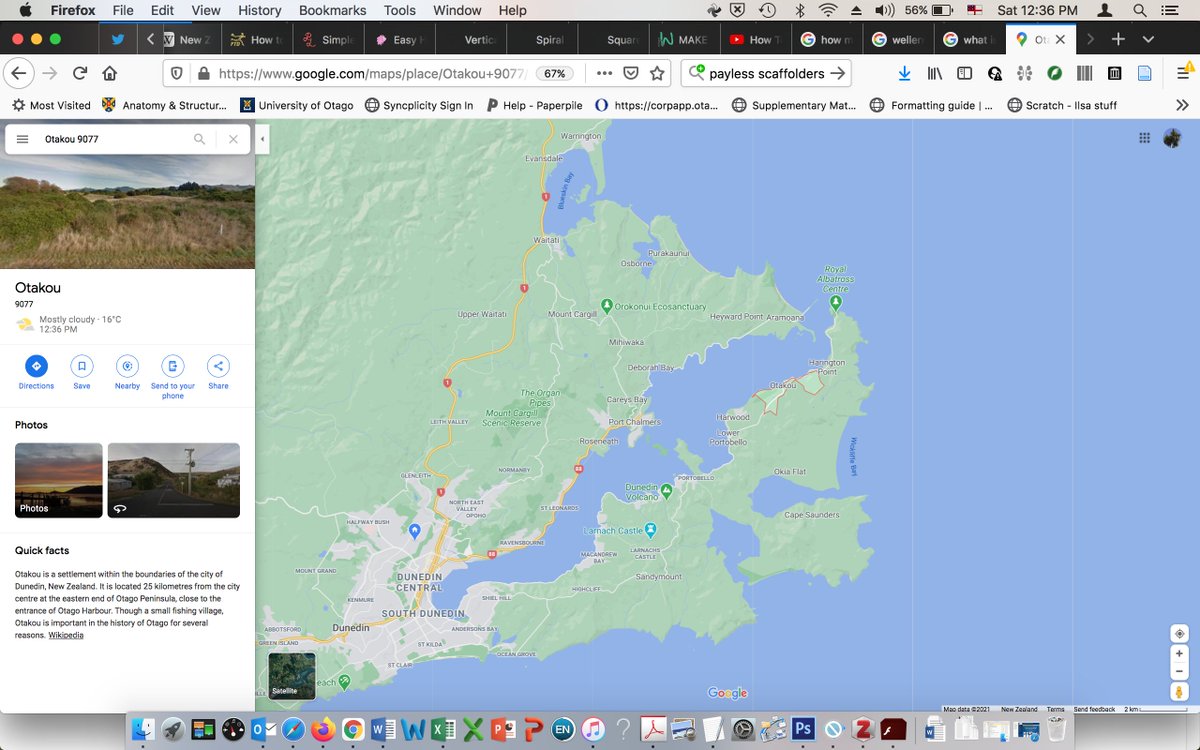 throughout NZ. But they first landed on Otago Peninsula, at Te Umu Kuri, a place now know as Weller's Rock. This all got a lot more local than I expected! They built a village of 80-odd huts that eventually merged with the Māori village to become present-day Otakou.