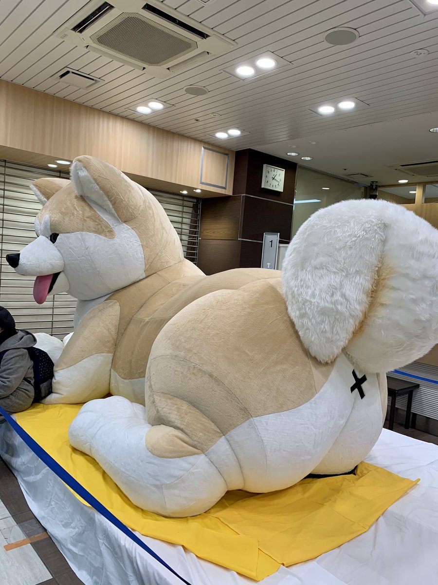 八王子駅のみどりの窓口に巨大秋田犬 が現れた Togetter