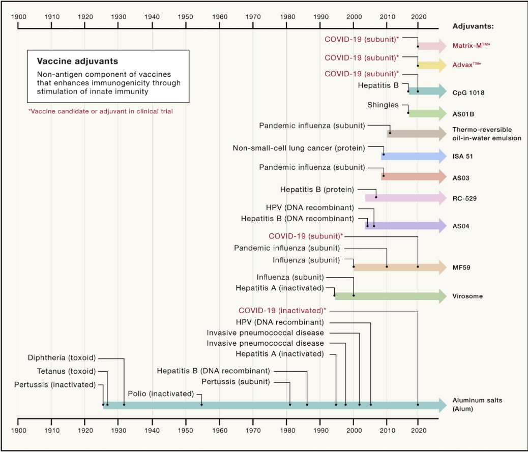 mmw_lmw's tweet photo. Why and How #Vaccines Work | Timeline of Adjuvant Used in Human Vaccines | Akiko Iwasaki @VirusesImmunity @YaleMed @CellCellPress https://t.co/ryllWm5JBe | #2020_ReCapOct https://t.co/eeOX8J3vgn