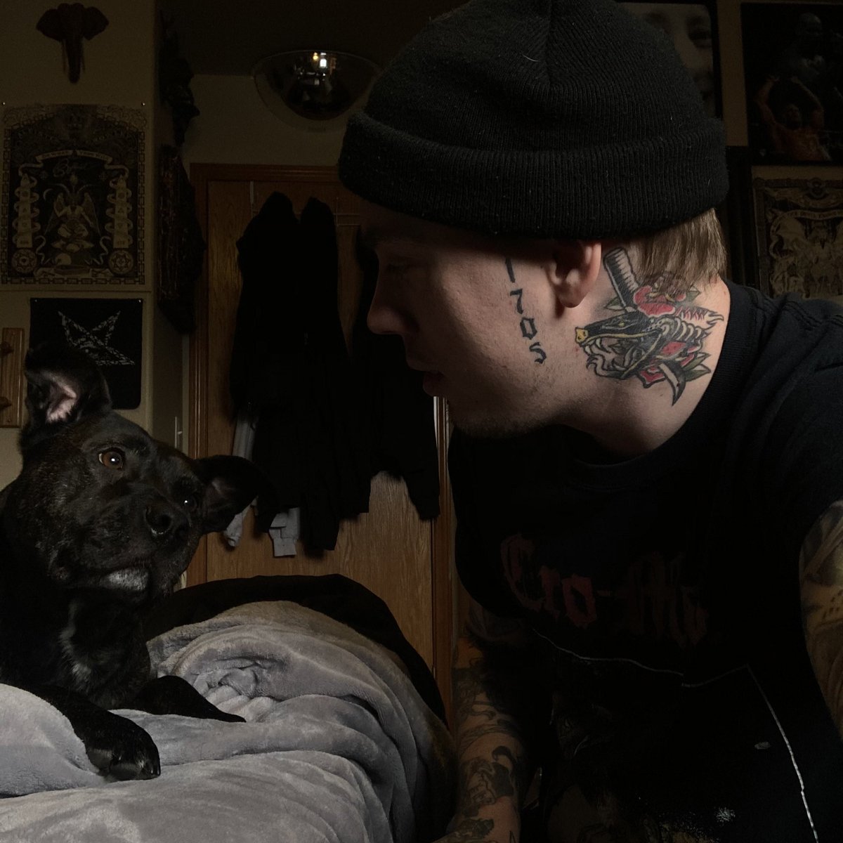 Left the room and he snuck a whole ass bowl of Mac n cheese off the coffee table