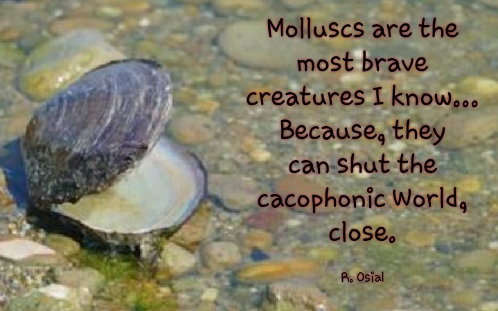 vssDreams's tweet photo. #vssDreams

Jan. 9, 2021: #MOLLUSC / #MOLLUSK depending on your region. The word came to English from the French mollusque

" Dreaming of #mollusc, means mysterious happenings will claim your attention. Do not believe too easily all you hear."
- Dream and it's Interpretations https://t.co/3yEgfh9noi