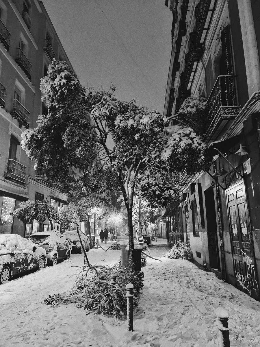 BelyBasarte's tweet photo. 8 de enero en Madrid 🌨 https://t.co/1MYHoCubj5